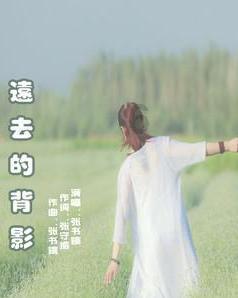 枪火游侠