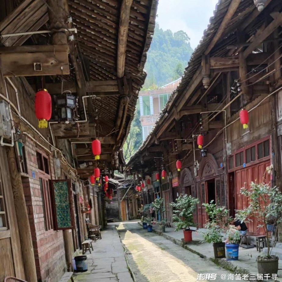 救援有趣的狮子